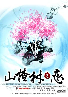 山楂树之恋2011 第31集