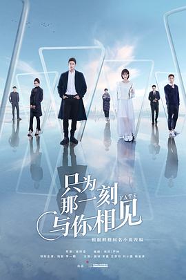 只为那一刻与你相见 第12集