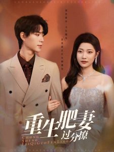 重生肥妻过分撩(全集)
