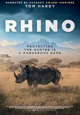 犀牛2025